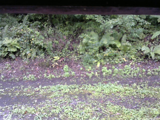 長野県菅平高原 ゆたか山荘 南側 2025/09/14 14:15