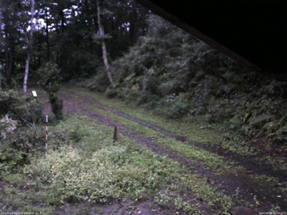長野県菅平高原 ゆたか山荘 東側(坂下) 2025/09/14 06:00