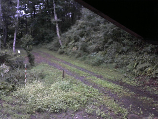 長野県菅平高原 ゆたか山荘 東側(坂下) 2025/09/14 06:15