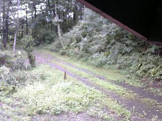 長野県菅平高原 ゆたか山荘 東側(坂下) 2025/09/14 08:45