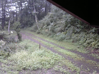 長野県菅平高原 ゆたか山荘 東側(坂下) 2025/09/14 09:00