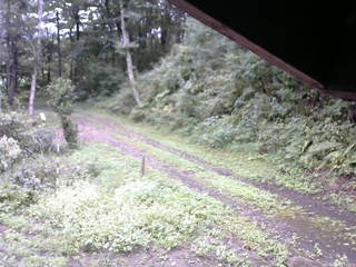 長野県菅平高原 ゆたか山荘 東側(坂下) 2025/09/14 14:45