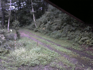 長野県菅平高原 ゆたか山荘 東側(坂下) 2025/09/14 17:45