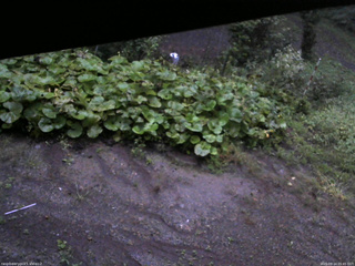 長野県菅平高原 ゆたか山荘 駐車場 2025/09/14 05:45