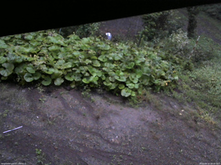長野県菅平高原 ゆたか山荘 駐車場 2025/09/14 06:00