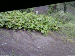 長野県菅平高原 ゆたか山荘 駐車場 2025/09/14 06:30