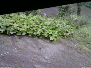 長野県菅平高原 ゆたか山荘 駐車場 2025/09/14 06:45