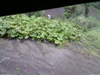 長野県菅平高原 ゆたか山荘 駐車場 2025/09/14 07:15