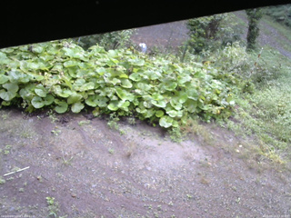 長野県菅平高原 ゆたか山荘 駐車場 2025/09/14 07:30