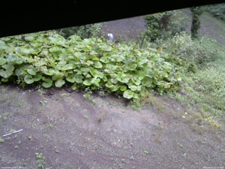 長野県菅平高原 ゆたか山荘 駐車場 2025/09/14 07:45