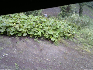 長野県菅平高原 ゆたか山荘 駐車場 2025/09/14 08:00