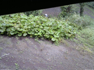 長野県菅平高原 ゆたか山荘 駐車場 2025/09/14 08:15