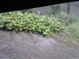 長野県菅平高原 ゆたか山荘 駐車場 2025/09/14 08:30