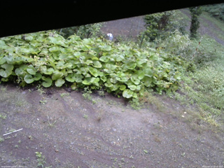 長野県菅平高原 ゆたか山荘 駐車場 2025/09/14 08:45