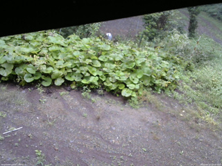 長野県菅平高原 ゆたか山荘 駐車場 2025/09/14 09:00