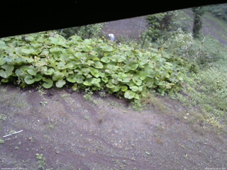 長野県菅平高原 ゆたか山荘 駐車場 2025/09/14 09:15
