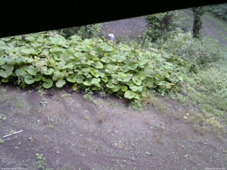 長野県菅平高原 ゆたか山荘 駐車場 2025/09/14 09:30