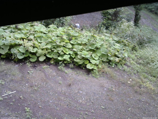長野県菅平高原 ゆたか山荘 駐車場 2025/09/14 09:45