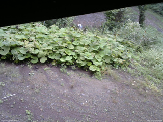 長野県菅平高原 ゆたか山荘 駐車場 2025/09/14 10:00