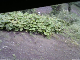 長野県菅平高原 ゆたか山荘 駐車場 2025/09/14 10:45
