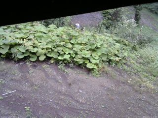 長野県菅平高原 ゆたか山荘 駐車場 2025/09/14 11:00