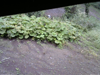 長野県菅平高原 ゆたか山荘 駐車場 2025/09/14 11:15