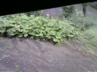 長野県菅平高原 ゆたか山荘 駐車場 2025/09/14 11:30