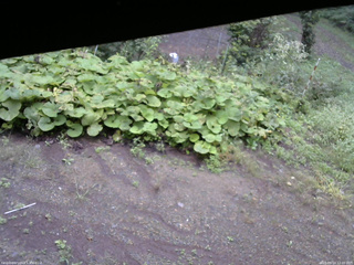 長野県菅平高原 ゆたか山荘 駐車場 2025/09/14 12:00