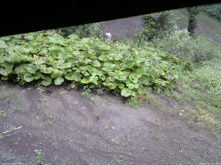 長野県菅平高原 ゆたか山荘 駐車場 2025/09/14 12:15