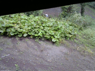 長野県菅平高原 ゆたか山荘 駐車場 2025/09/14 12:30