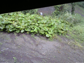 長野県菅平高原 ゆたか山荘 駐車場 2025/09/14 12:45