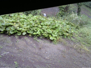 長野県菅平高原 ゆたか山荘 駐車場 2025/09/14 13:00
