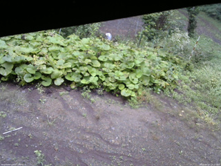 長野県菅平高原 ゆたか山荘 駐車場 2025/09/14 13:15