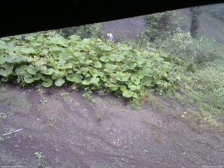 長野県菅平高原 ゆたか山荘 駐車場 2025/09/14 13:30