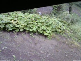長野県菅平高原 ゆたか山荘 駐車場 2025/09/14 14:00