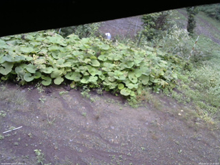 長野県菅平高原 ゆたか山荘 駐車場 2025/09/14 14:30