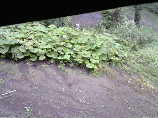 長野県菅平高原 ゆたか山荘 駐車場 2025/09/14 15:00