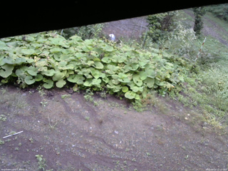 長野県菅平高原 ゆたか山荘 駐車場 2025/09/14 15:15