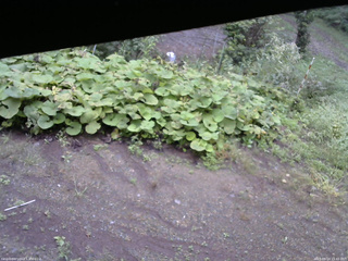 長野県菅平高原 ゆたか山荘 駐車場 2025/09/14 15:45