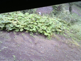 長野県菅平高原 ゆたか山荘 駐車場 2025/09/14 16:00