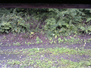 長野県菅平高原 ゆたか山荘 南側 2025/09/15 06:45