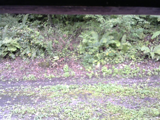 長野県菅平高原 ゆたか山荘 南側 2025/09/15 09:45