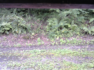 長野県菅平高原 ゆたか山荘 南側 2025/09/15 10:30