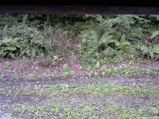 長野県菅平高原 ゆたか山荘 南側 2025/09/15 16:45