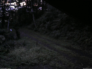 長野県菅平高原 ゆたか山荘 東側(坂下) 2025/09/15 05:15