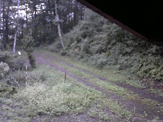 長野県菅平高原 ゆたか山荘 東側(坂下) 2025/09/15 05:30