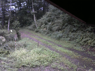 長野県菅平高原 ゆたか山荘 東側(坂下) 2025/09/15 05:45