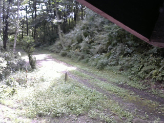 長野県菅平高原 ゆたか山荘 東側(坂下) 2025/09/15 09:15