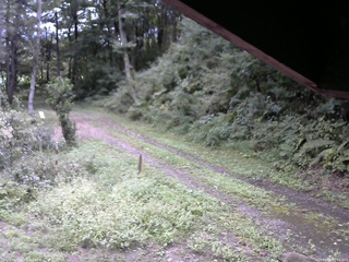 長野県菅平高原 ゆたか山荘 東側(坂下) 2025/09/15 11:00