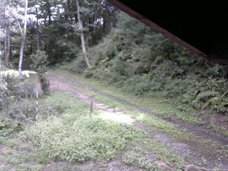 長野県菅平高原 ゆたか山荘 東側(坂下) 2025/09/15 12:30